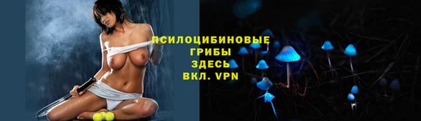 хмурый Краснослободск