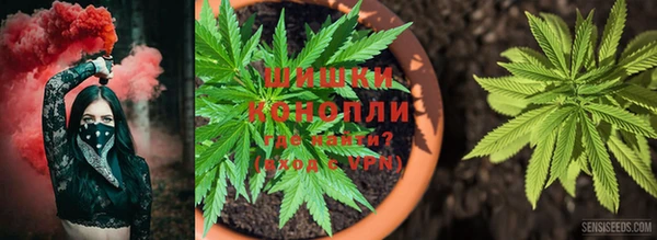 спиды Коряжма